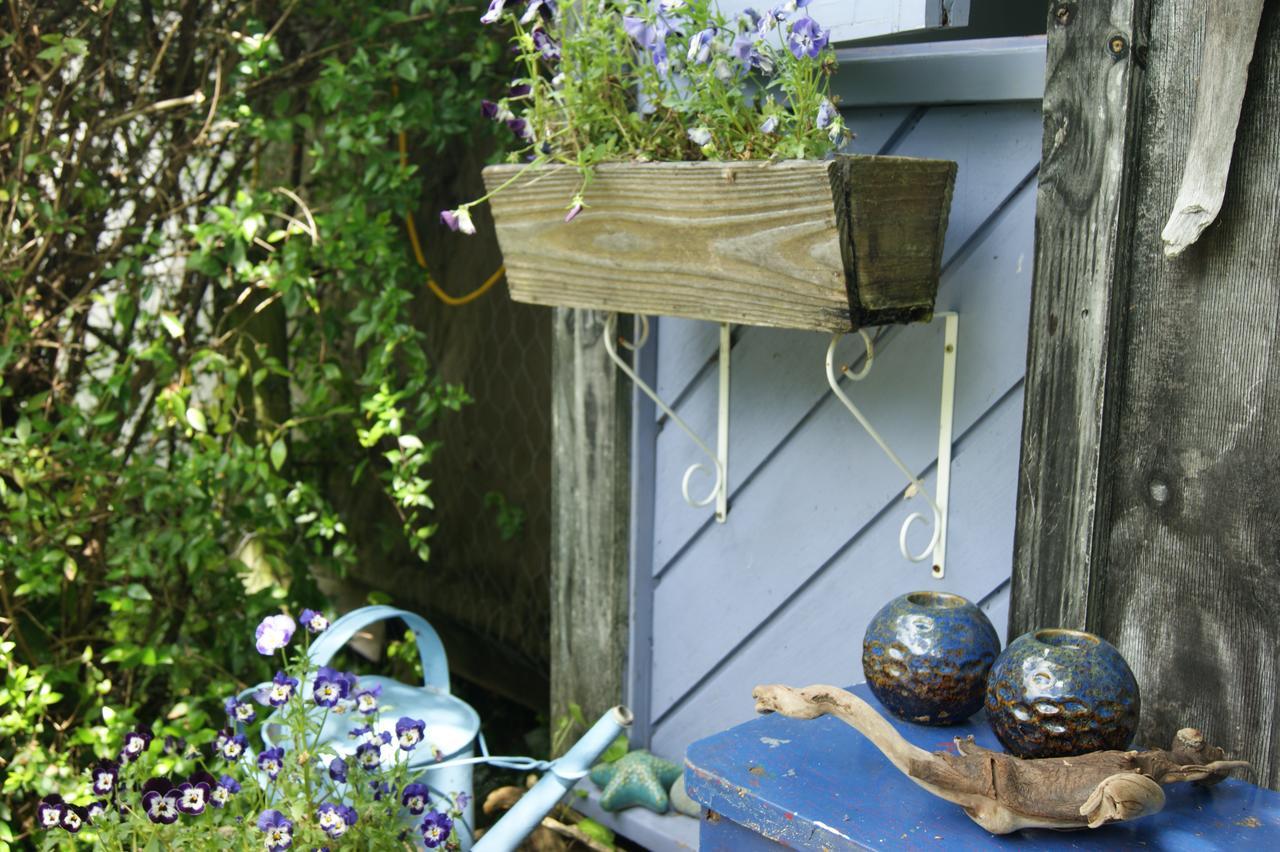 Waitapu Springs B&B Takaka Exteriér fotografie